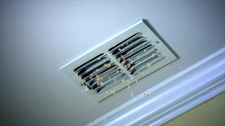 Best Commercial HVAC Duct Cleaning  in Swissvale, PA